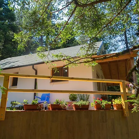Casa de Férias Dream House *