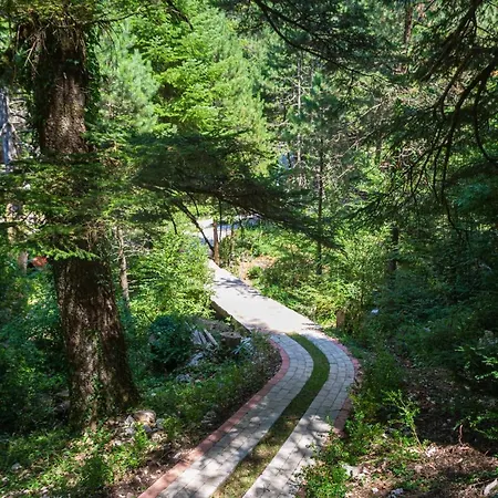 Dream House * Llogara National Park